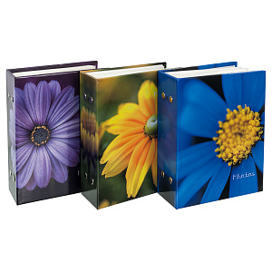 Фотоальбом Platinum PP-46100S 100 фото Цветочная коллекция11 (13710) /24 фото